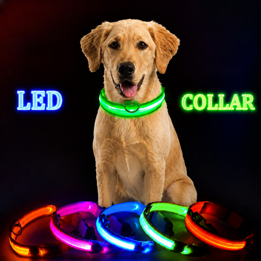 LED Dog Collar Light